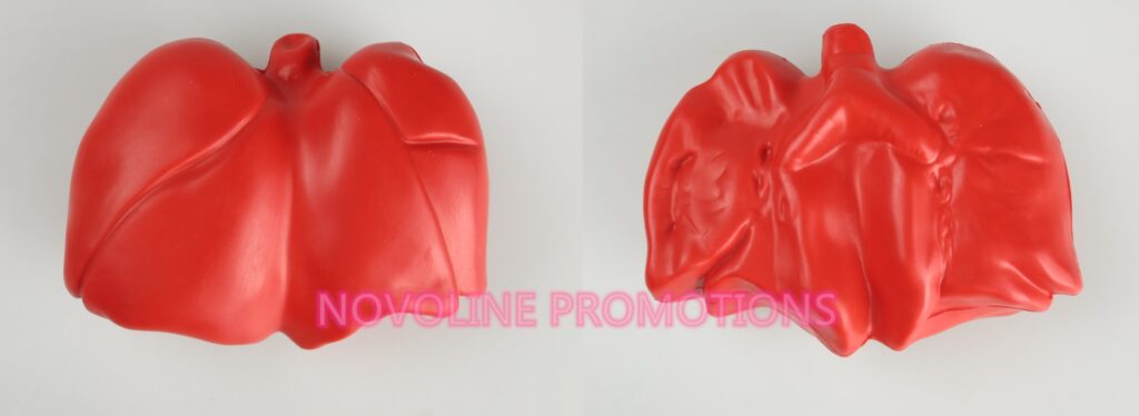 Lung Stress Ball