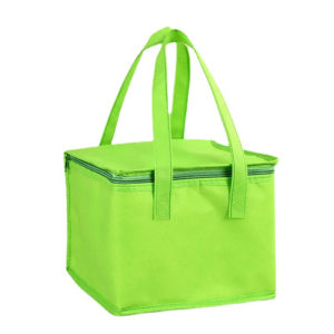 Non-Woven Cooler Bag