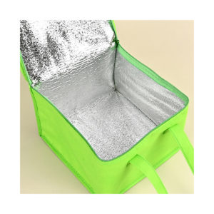 Non-Woven Cooler Bag