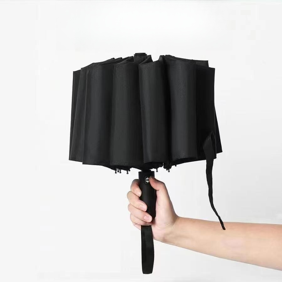 Foldable Waterproof UV Protective Umbrella with 10 Ribs