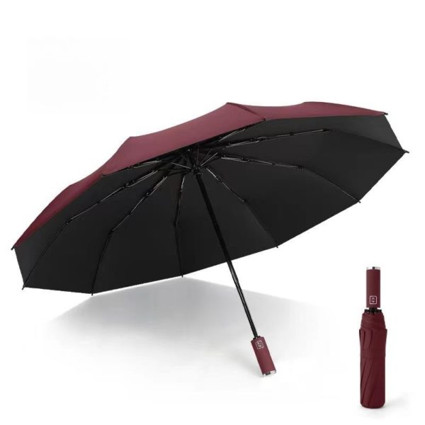 Foldable Waterproof UV Protective Umbrella with 10 Ribs