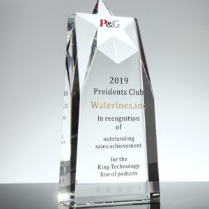 Clear Star Crystal Acrylic Trophy Paperweight Decoration 7.9x3.5 inches