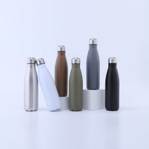 17 oz. Stainless Steel Bottle