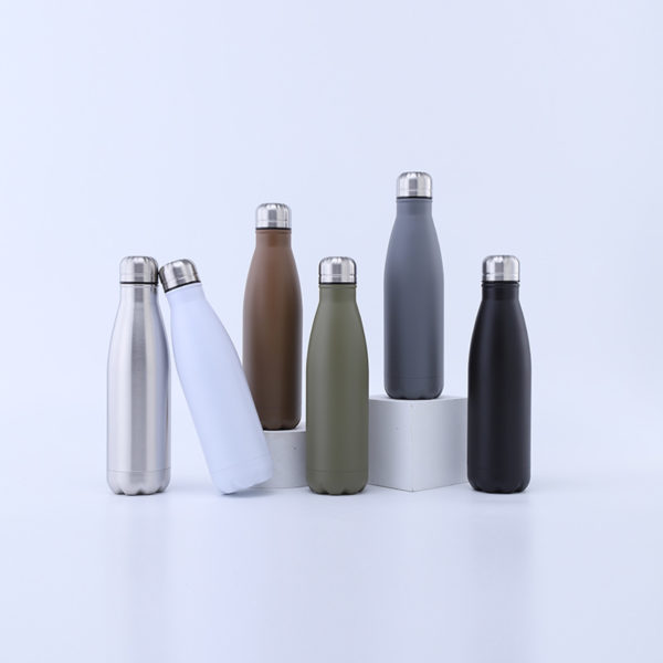 17 oz. Stainless Steel Bottle