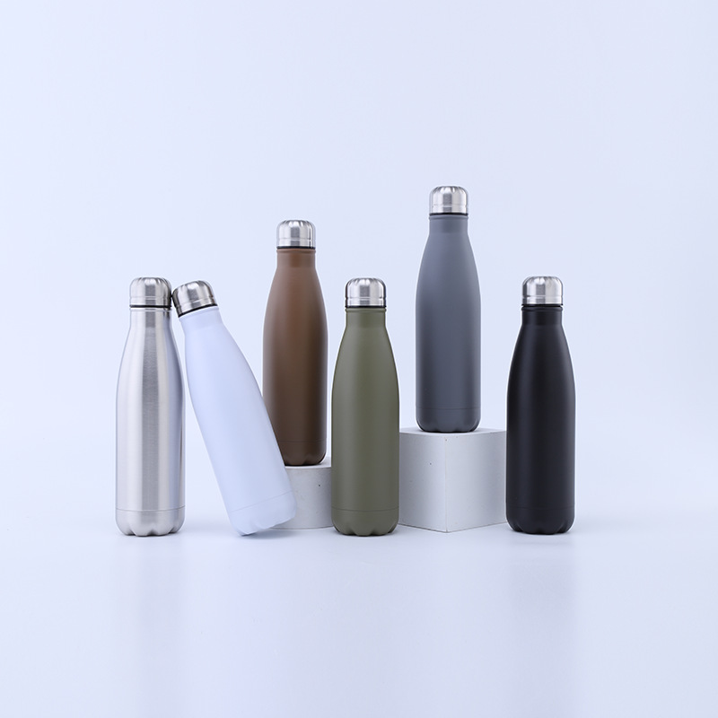 17 oz. Stainless Steel Bottle