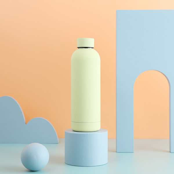 Multiple Colors 17oz Stainless Steel Water Bottle