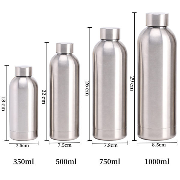 Stainless Steel Multiple Colors 17oz Water Bottle