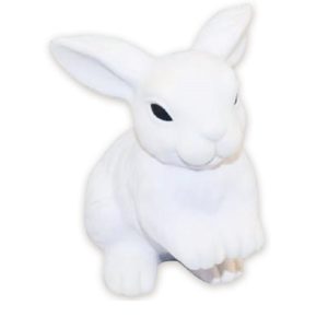 Custom Rabbit Shaped Stress Ball