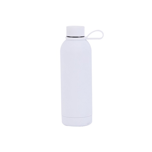 Stainless Steel 17 oz Double Wall Vacuum Bottle
