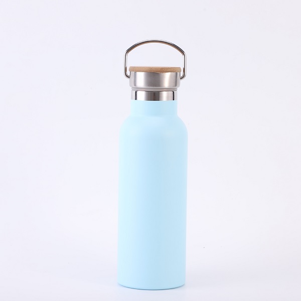 Stainless Steel 17oz Double-Wall Vacuum Bottle With Loop Top