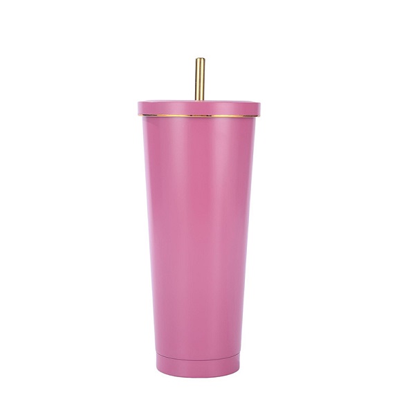 Outdoor Portable Stainless Steel 24 oz Vacuum Bottle with Straw