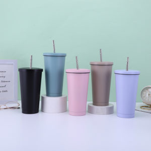 Stainless Steel Vacuum Bottle with Straw 17OZ 24 OZ