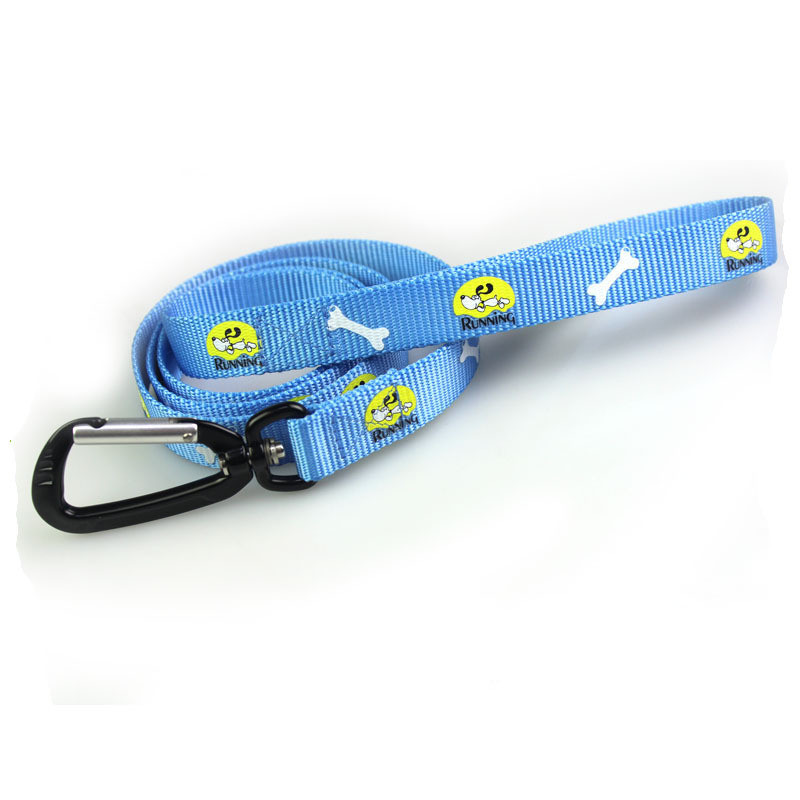 Silkscreen Printed Nylon Dog Leash Pet Collar with Carabiner