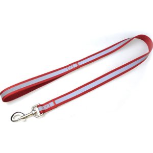 Reflective Dog Collar and Leash Set