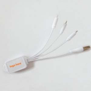 4 in 1 Charging Buddy Cable with Logo