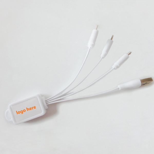 4 in 1 Charging Buddy Cable with Logo
