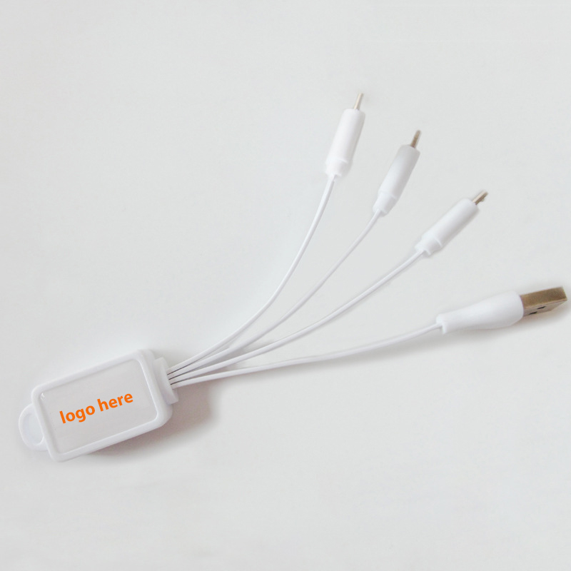 4 in 1 Charging Buddy Cable with Logo