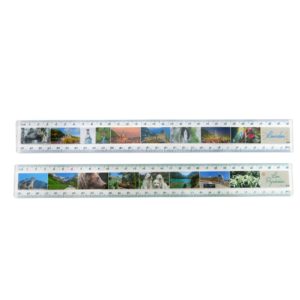 12 Inch Full Color Plastic Ruler
