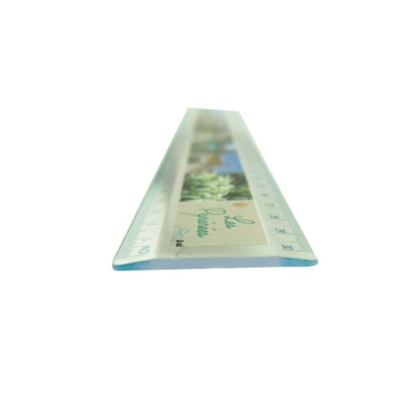12 Inch Full Color Plastic Ruler