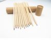 12-Piece Colored Pencil Set in Tube