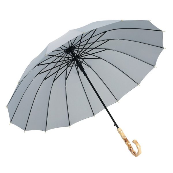 Creative 16 Bone Minimalist Literary Umbrella
