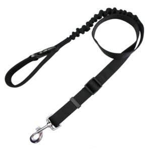 Elastic and Adjustable Polyester Dog Leash