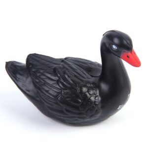 Black Swan Stress Ball