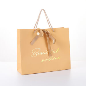 Party Gift Bag with Ribbon Handle