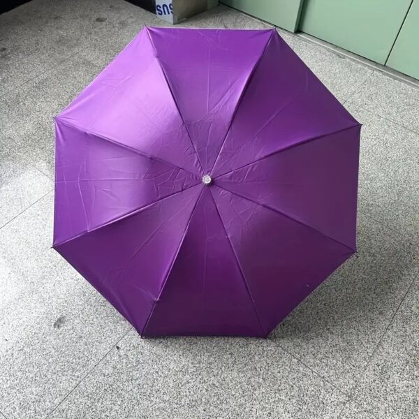 Creative Eggplant Umbrella - Image 2