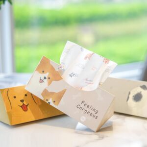 Cute Hard Boxed Printed Tissues