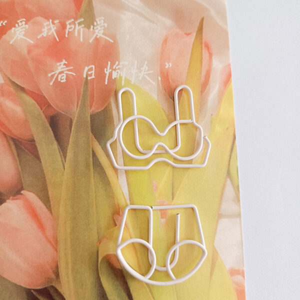 4 in 1 Underclothes Paperclips Set - Image 4