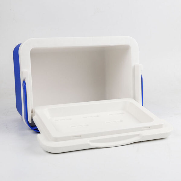 Portable Car Insulated Cooler with Custom Logo 6L