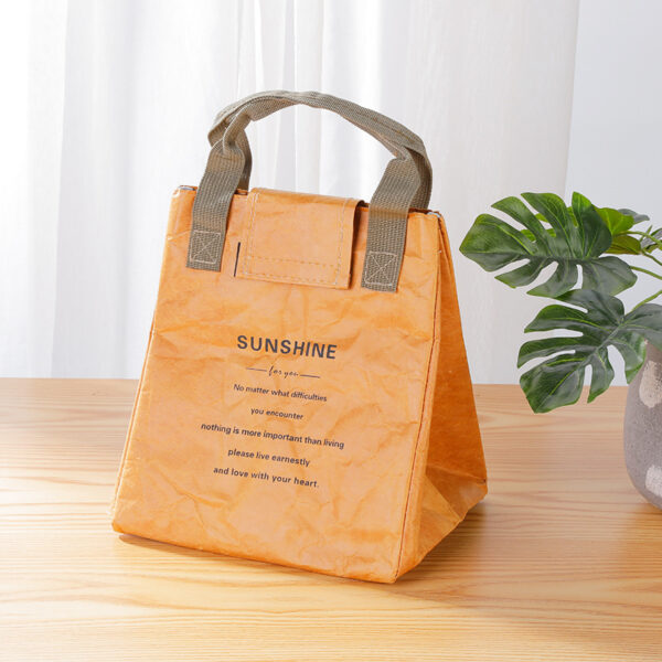 Portable Eco Friendly Dupont Insulated Cooler Tote Bag