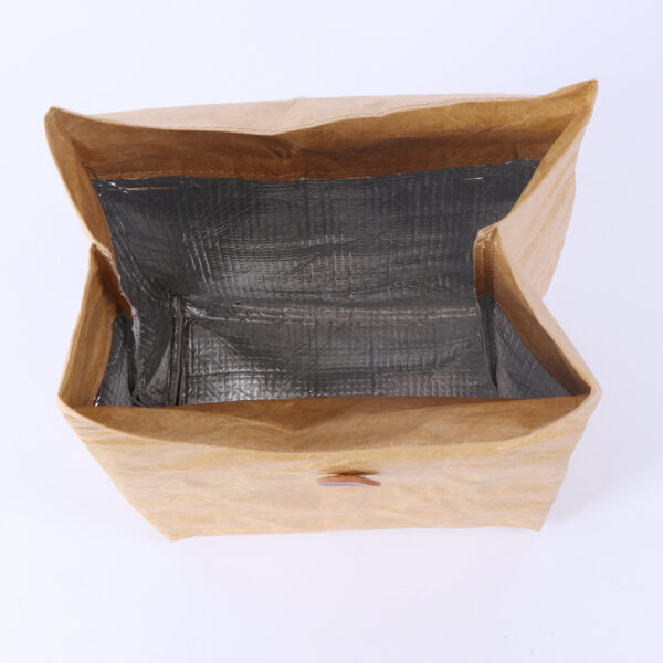 Simple Eco Friendly Dupont Insulated Cooler Bag