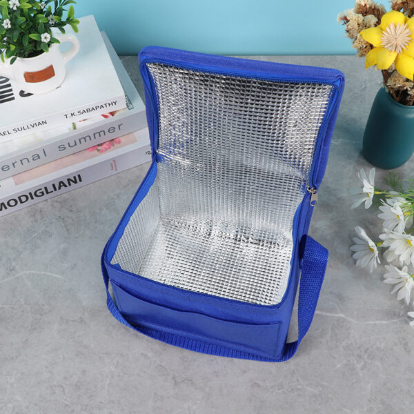 Outdoor Picnic Aluminum Foil Insulated Bag