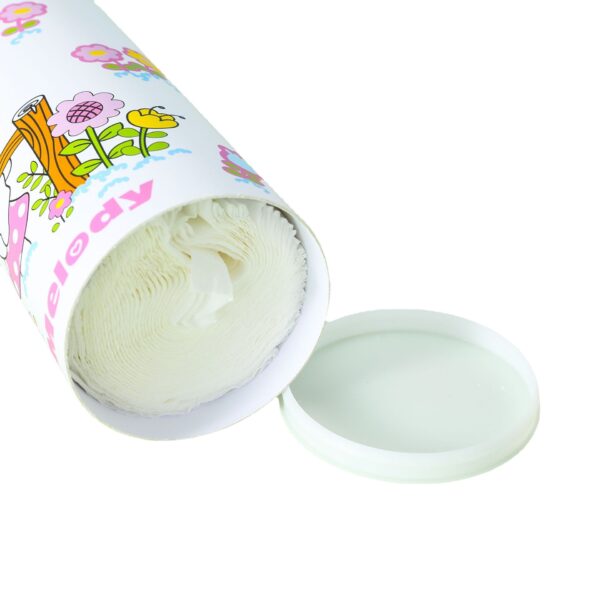 Car Tissue Holder