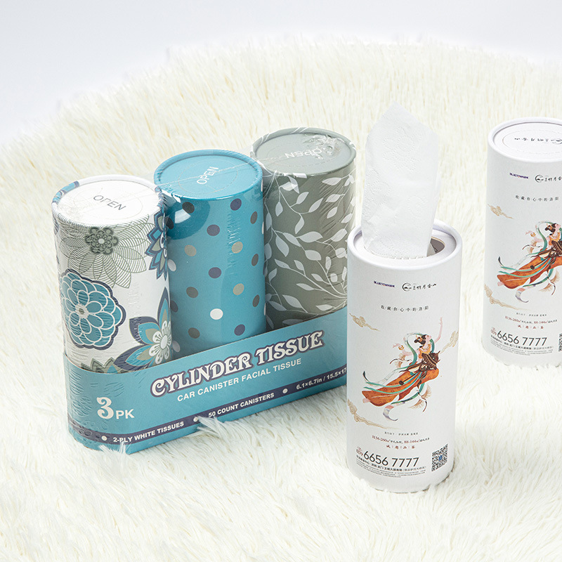 Vehicle Tissue Box for Easy Access on the Go