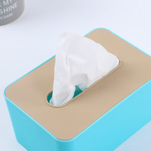 Custom PP Tissue Box