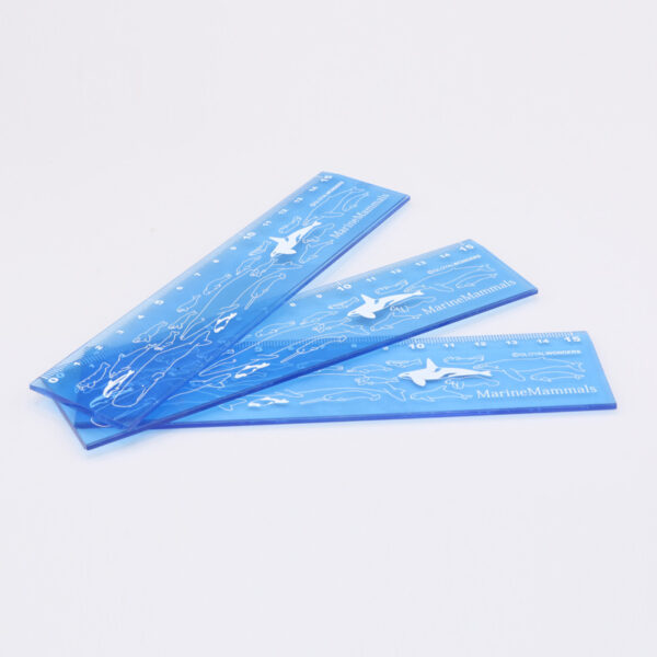 Eco-friendly AS Transparent Rigid Ruler