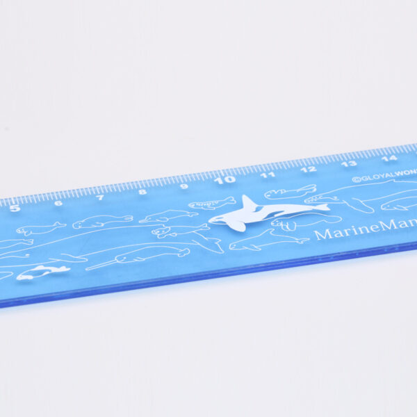 Eco-friendly AS Transparent Rigid Ruler - Image 2