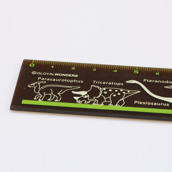Eco-friendly AS Translucent Hard Ruler - Image 2