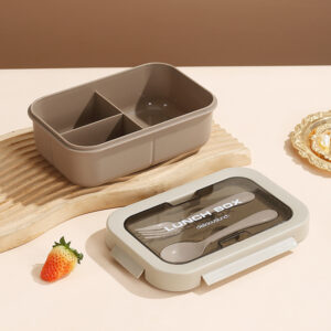 Double Layer Plastic Lunch Box