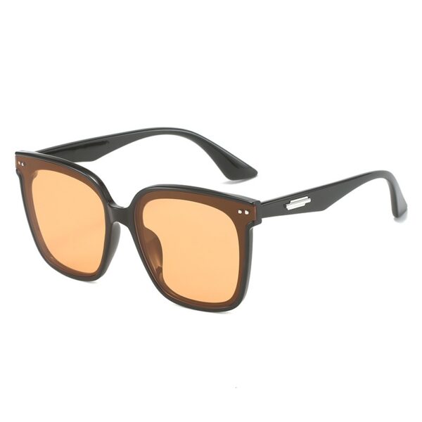 Classic Plastic FDA Approved Adult Sunglasses - Image 2