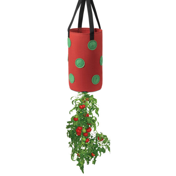 13-hole Hanging Grow Bag with Holes In The Bottom - Image 4